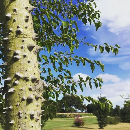 Sacuba & Botanic Golf Club Olbia