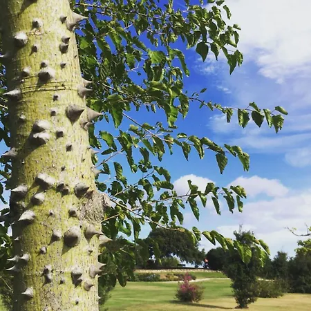 Resort Sacuba & Botanic Golf Club