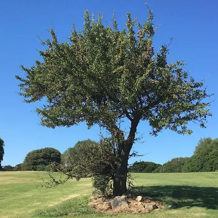 Курортний комплекс Sacuba & Botanic Golf Club Ольбія