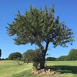 Курортный комплекс Sacuba & Botanic Golf Club Ольбия