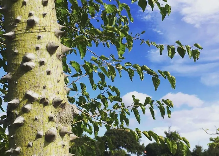 Resort Sacuba & Botanic Golf Club