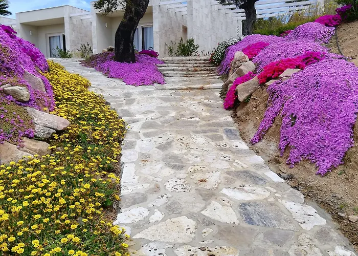 Resort Sacuba & Botanic Golf Club Olbia